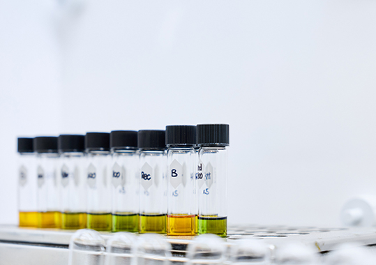 Strengthening Food Safety Through International Collaboration