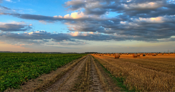 Researchers work to help protect our land, water and biodiversity