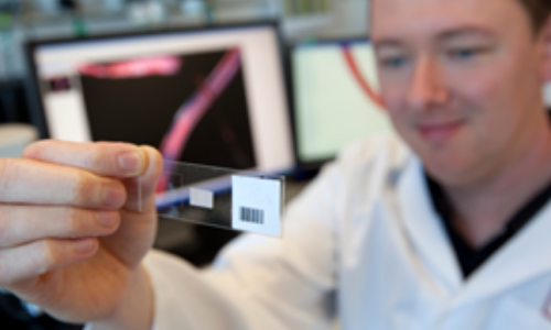 The science in bringing a killer to justice