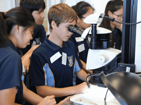 School and university - Photo 1