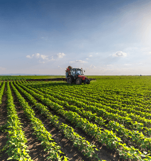 Food, Agriculture and Primary Industries