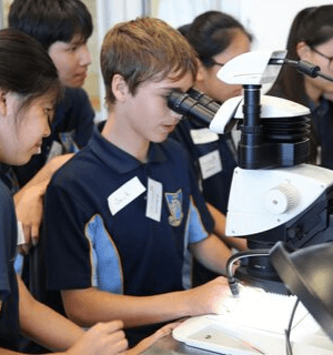 School and University Groups